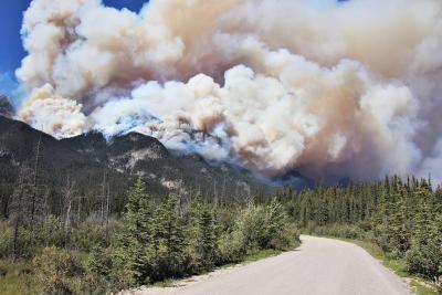 Les incendies de forêt, tels que celui qui s’est déclaré dans le parc national Jasper, affectent de nombreux habitats d’animaux. (Photo via la page Facebook d’Alberta Wildfires.)