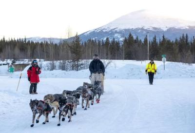 Un attelage de chiens de traîneau passe un point de contrôle lors de la course Yukon Quest. (Photo : Alexander Pai, via Instagram)