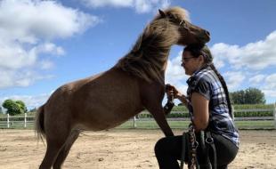 Zhawanoogbiik Danielle Riley prend soin de chevaux et d’autres animaux au Riley Ranch On Three Fires. (Photo via Facebook.)